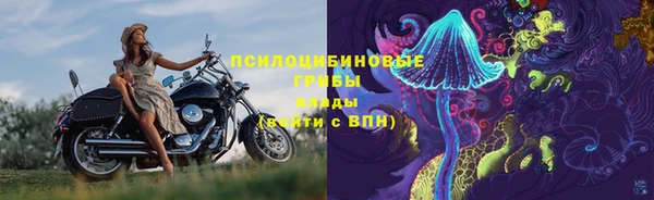 МДПВ Абинск