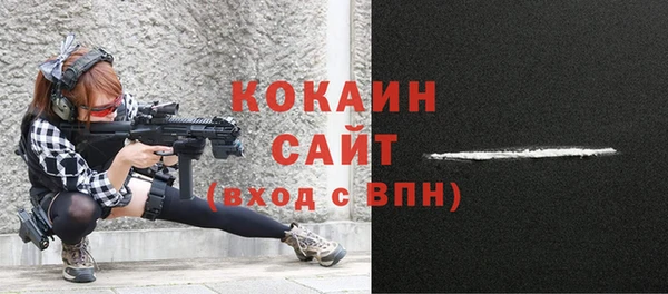 твердый Алзамай