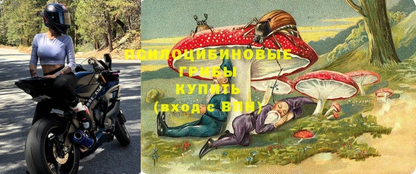 твердый Алзамай