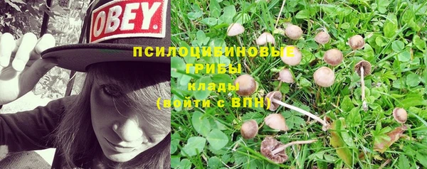МДПВ Абинск