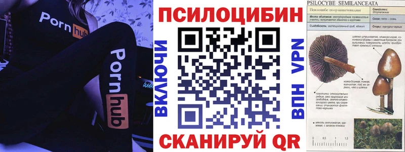 где купить наркоту  Безенчук  ОМГ ОМГ онион  Галлюциногенные грибы Psilocybe 